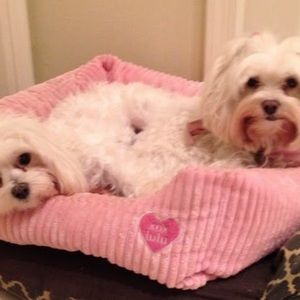 Meet your Posher, Maria